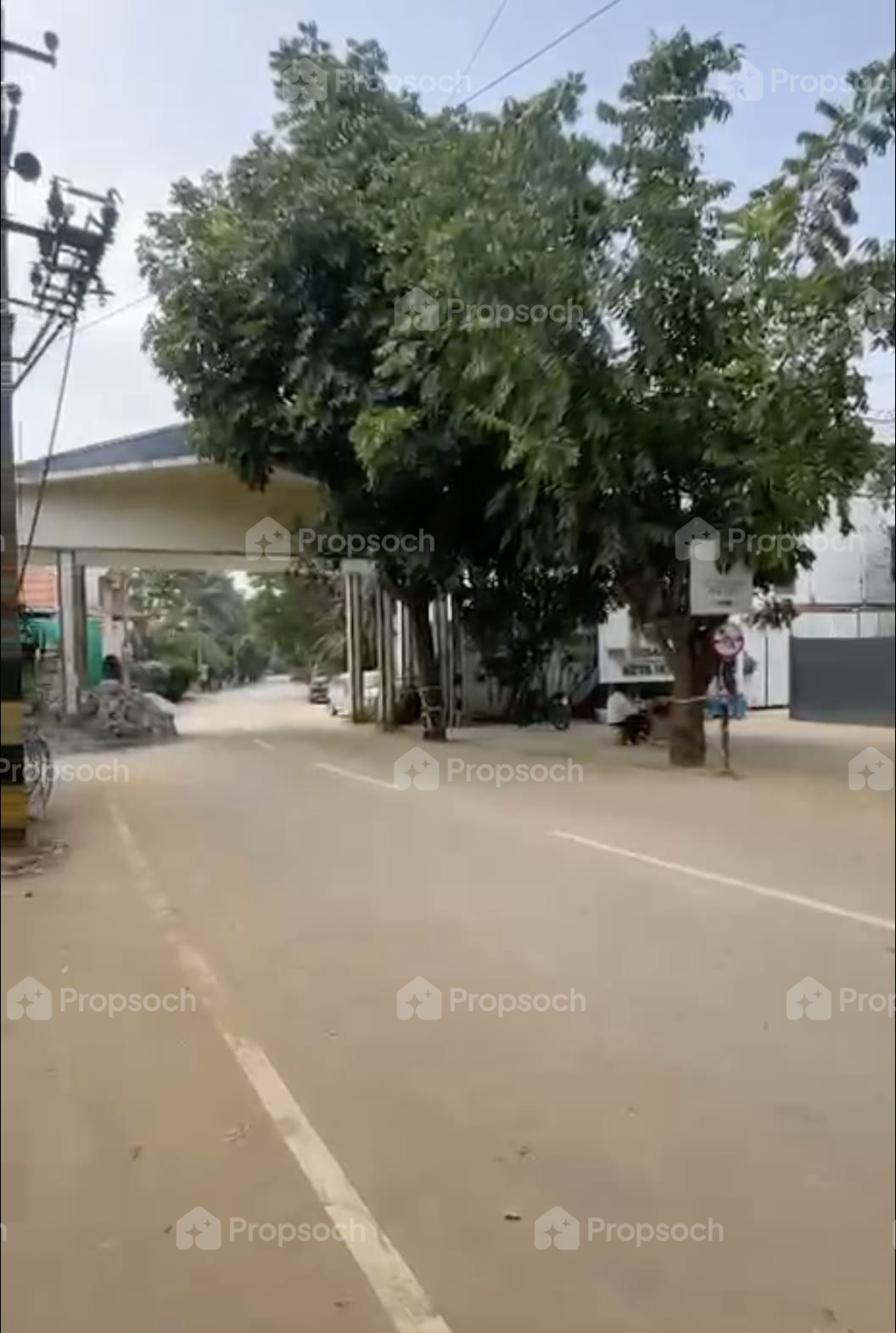 The Urban Forest,Sarjapur Road,Bengaluru- Views