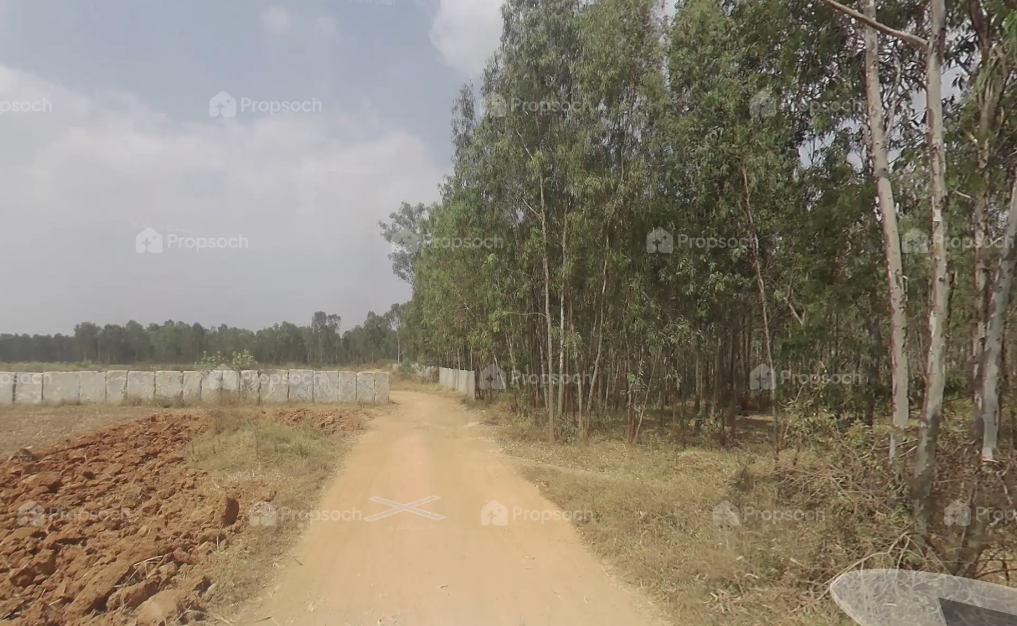 Poulomi Florique,Thanisandra Road,Bengaluru- Views